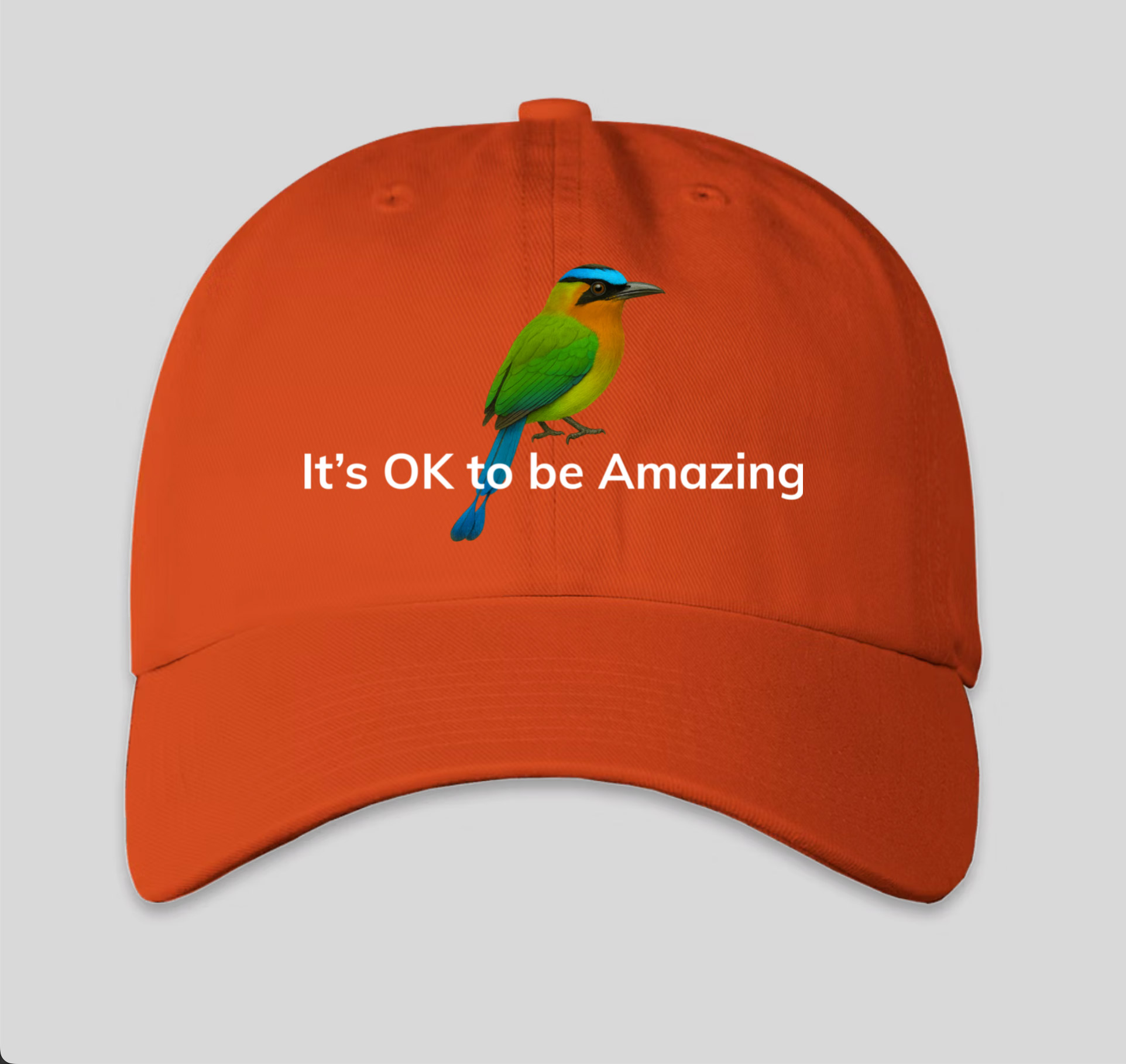 It's OK to be Amazing - Cap - Image 6
