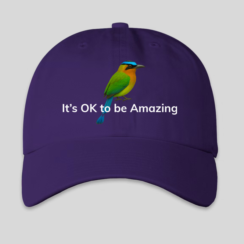 It's OK to be Amazing - Cap