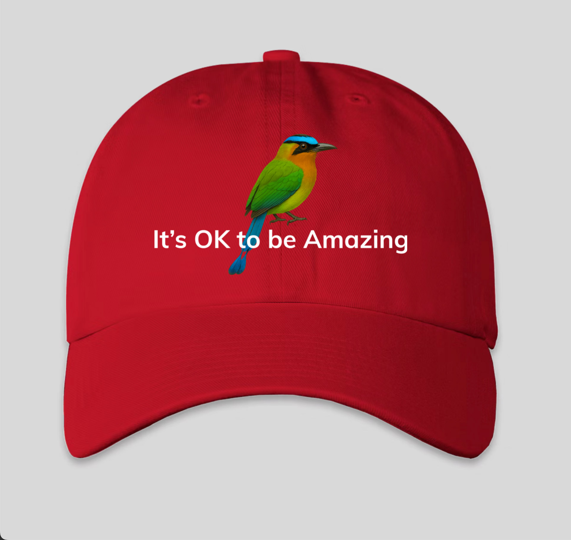 It's OK to be Amazing - Cap - Image 8