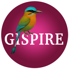 Gispire: Fashion & Lifestyle Inspired by the Latin American Culture