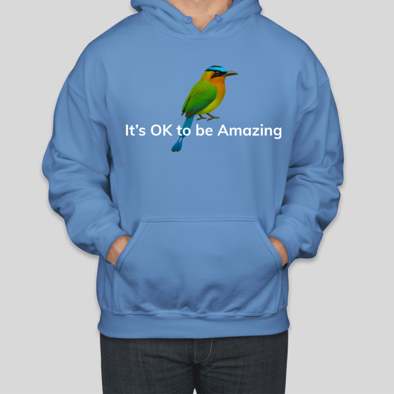 It's OK to be Amazing - Hoodie (Men)