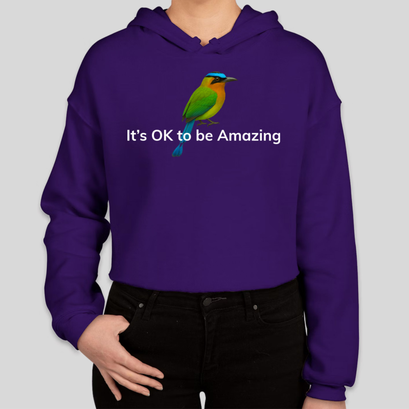 It's OK to be Amazing - Hoodie (Women)
