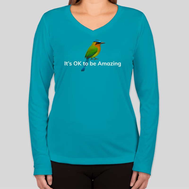 It's OK to be Amazing - Long Sleeve T (Women)