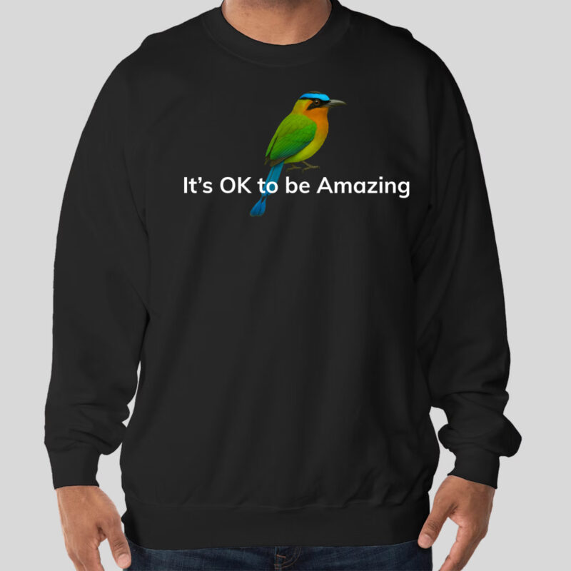 It's OK to be Amazing - Sweatshirt (Men)