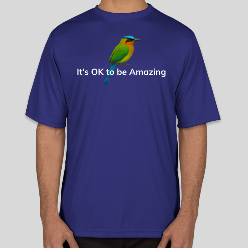 It's OK to be Amazing - T-Shirt (Men)
