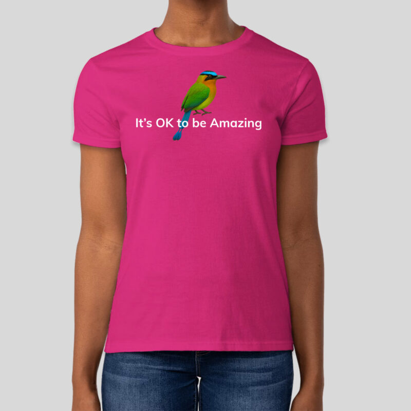It's OK to be Amazing - T-Shirt (Women)